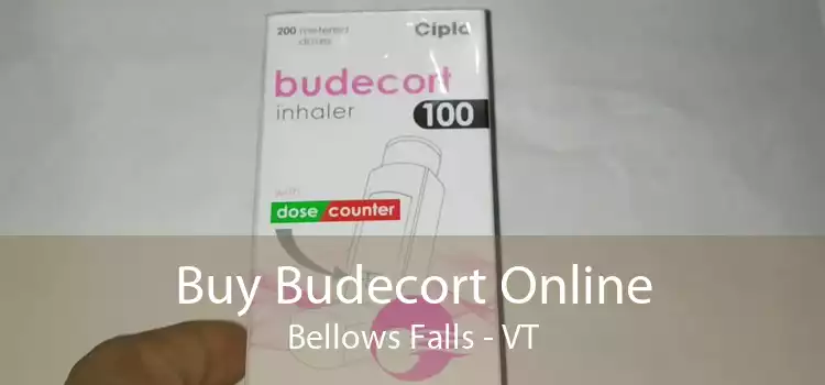 Buy Budecort Online Bellows Falls - VT