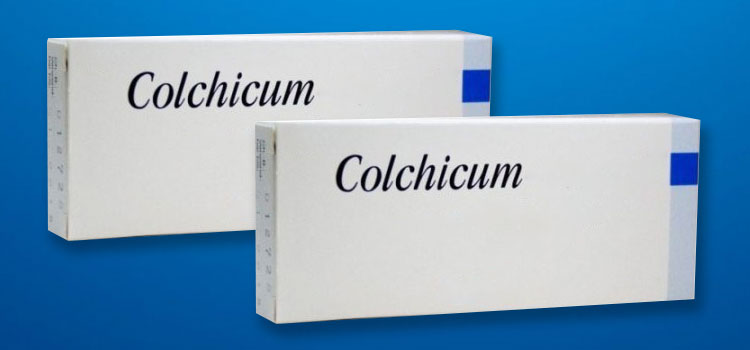 buy colchium in Bellows Falls, VT