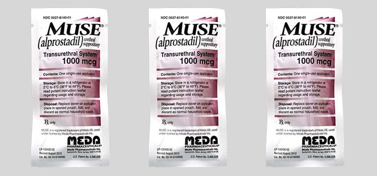 buy muse in Ascutney, VT